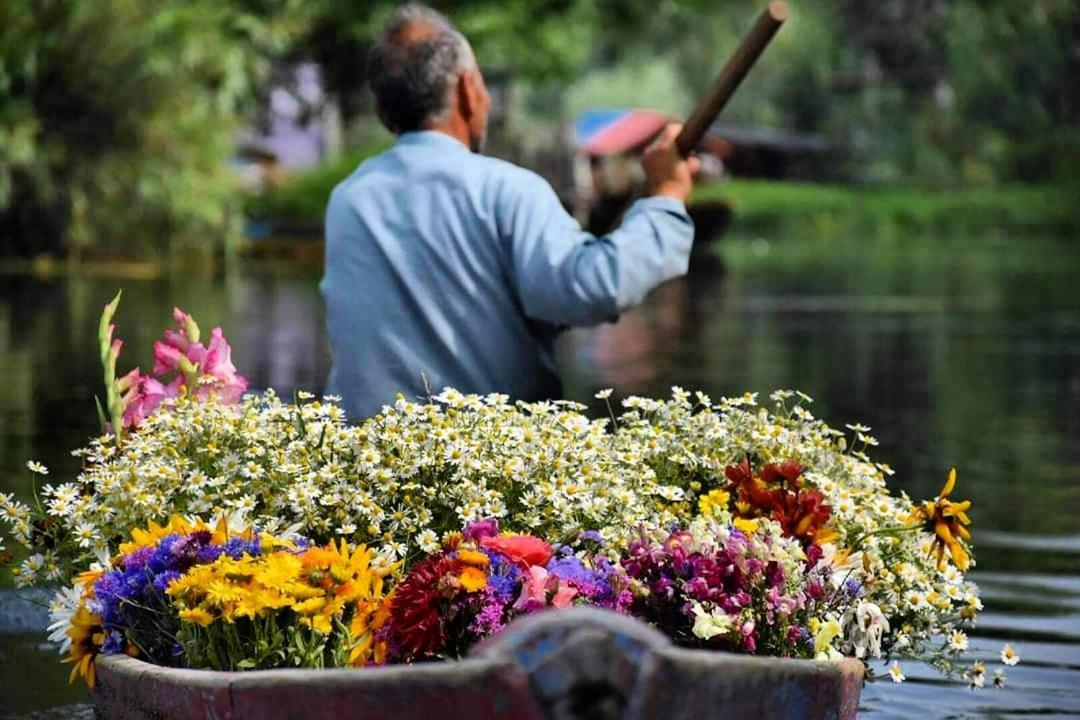 Green View Group Of Houseboats Srinagar  Bagian luar foto